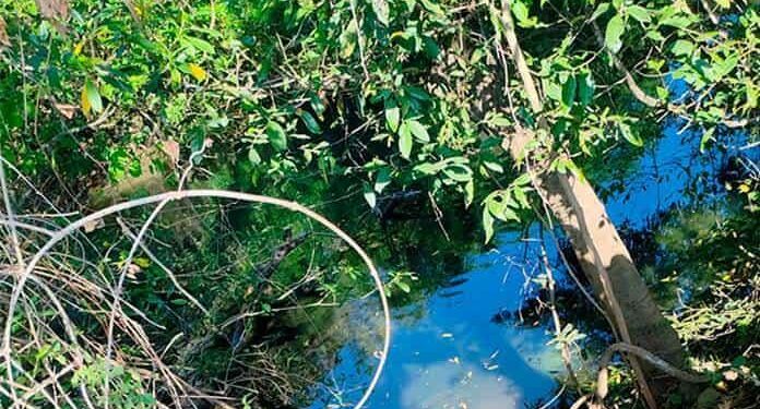 Adulto mayor se arroja al río y muere ahogado