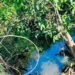 Adulto mayor se arroja al río y muere ahogado