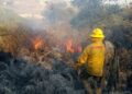 Investigan a 2 personas en  SLP por provocar incendios forestales