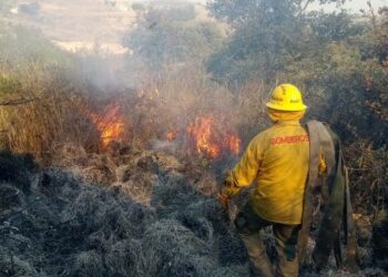Investigan a 2 personas en  SLP por provocar incendios forestales