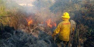 Investigan a 2 personas en  SLP por provocar incendios forestales