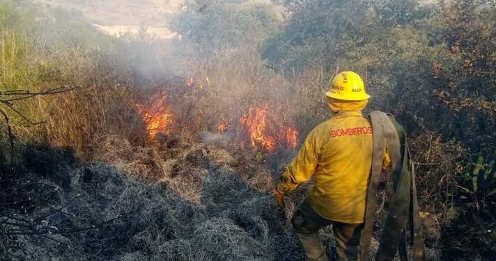 Investigan a 2 personas en SLP por provocar incendios forestales