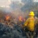 Investigan a 2 personas en  SLP por provocar incendios forestales