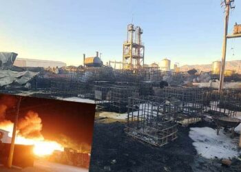 Empresa de químicos en Zona Industrial terminó en cenizas tras fatal incendio