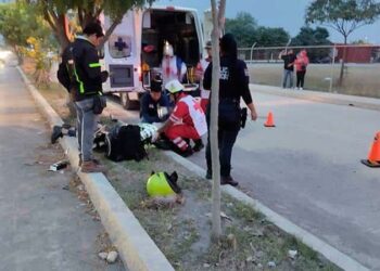 Muere repartidor tras chocar contra un caballo