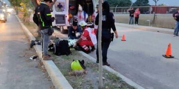 Muere repartidor tras chocar contra un caballo
