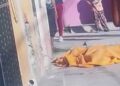 Asesinan a un hombre a balazos en Aguaje 2000