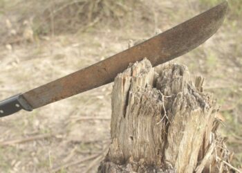 Abuelo golpea a su nieto con un machete en Chiapas; ahora el menor está desaparecido
