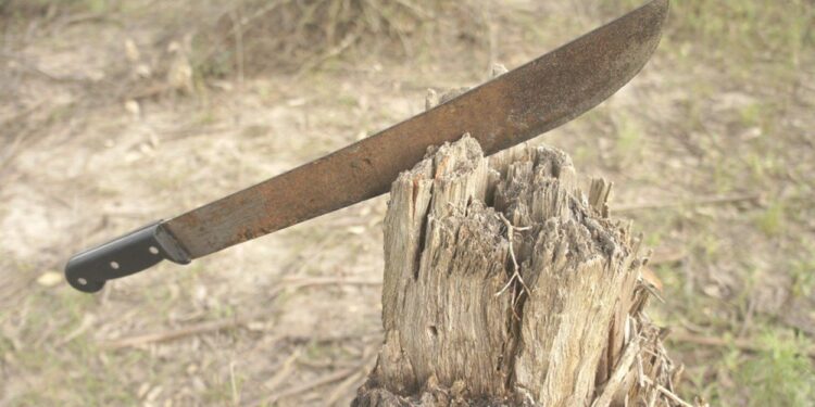 Abuelo golpea a su nieto con un machete en Chiapas; ahora el menor está desaparecido