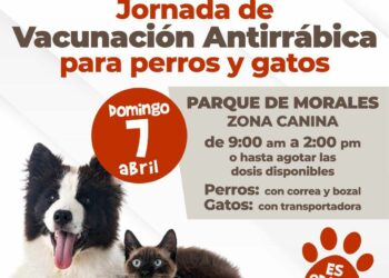 Ayuntamiento de SLP realizará vacunación antirrábica canina y felina