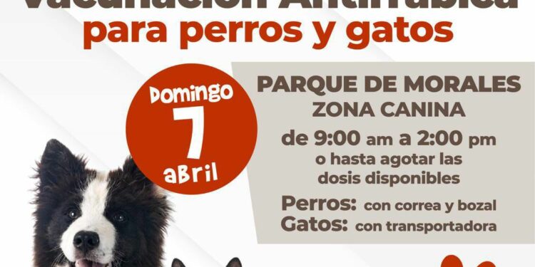 Ayuntamiento de SLP realizará vacunación antirrábica canina y felina