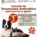 Ayuntamiento de SLP realizará vacunación antirrábica canina y felina