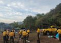 Combaten 250 brigadistas incendios forestales en SLP