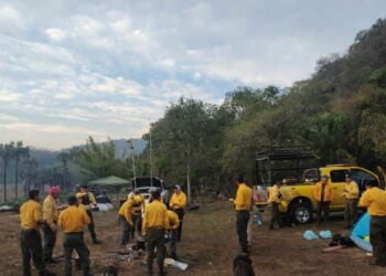 Combaten 250 brigadistas incendios forestales en SLP