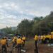Combaten 250 brigadistas incendios forestales en SLP