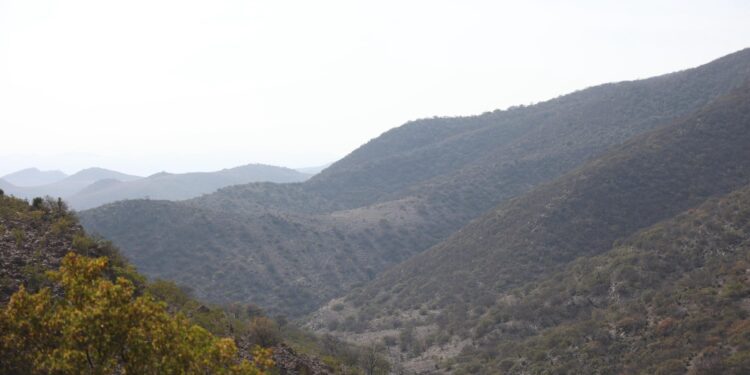 Anuncia Gobierno Estatal que se extinguió incendio en Sierra de San Miguelito