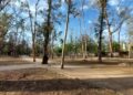 Parque Morales: Celebrando un siglo de historia y naturaleza en San Luis Potosí
