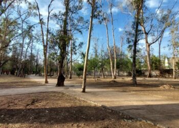 Parque Morales: Celebrando un siglo de historia y naturaleza en San Luis Potosí