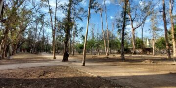 Parque Morales: Celebrando un siglo de historia y naturaleza en San Luis Potosí