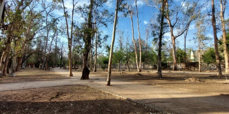 Parque Morales: Celebrando un siglo de historia y naturaleza en San Luis Potosí