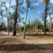 Parque Morales: Celebrando un siglo de historia y naturaleza en San Luis Potosí
