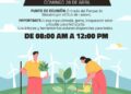 Colectiva Proforestal invita a reforestar el Parque Morales
