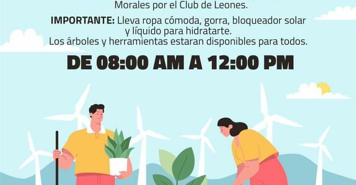 Colectiva Proforestal invita a reforestar el Parque Morales