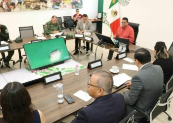 Detienen a líder de grupo criminal en el Municipio de Rayón