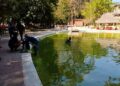 Tras muerte de joven, clausuran albercas de Hotel Taninul