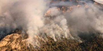 Más de mil 100 hectáreas afectadas por incendios: CEPC