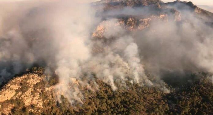 Más de mil 100 hectáreas afectadas por incendios: CEPC