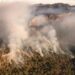 Más de mil 100 hectáreas afectadas por incendios: CEPC