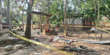 En el patio de su casa, padre encuentra el cuerpo descuartizado de su hijo