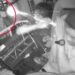 VIDEO: De un disparo en la cabeza asesinan a conductor de bus en medio de un robo