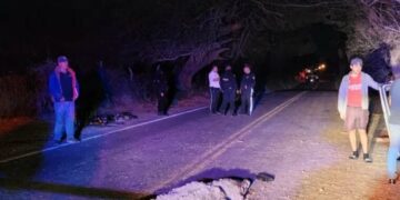 Cocodrilo provoca accidente: Mueren 3 personas y hay 4 heridas en carretera de Culiacán 