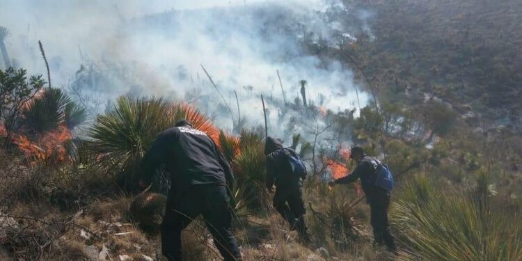 VIDEO: Por finiquitarse los siete incendios activos en SLP
