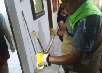 Capturan a serpiente de un metro en vivienda de Soledad