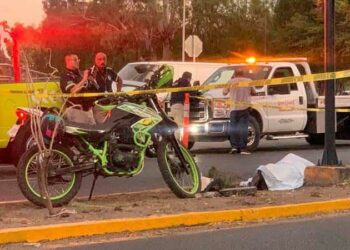 Motociclista fallece al impactarse vs. un árbol