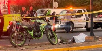 Motociclista fallece al impactarse vs. un árbol
