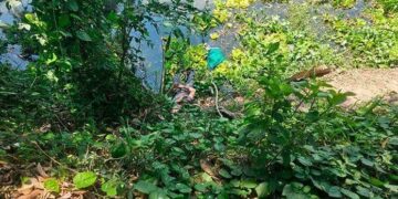 Se ahogan dos hermanos en río en Tampamolón