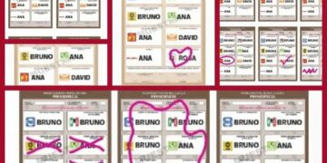 ¡Evita que anulen tu voto, así se debe votar en las elecciones 2024!