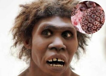 Científicos buscan ‘resucitar’ antiguos herpes hallados en huesos de neandertal