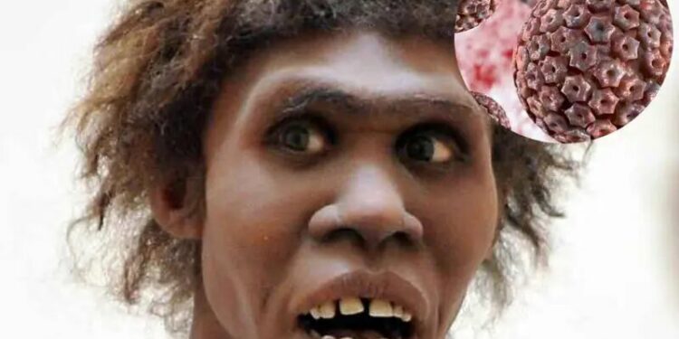Científicos buscan ‘resucitar’ antiguos herpes hallados en huesos de neandertal