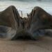 Descubren cráneo gigante de una criatura de 40 toneladas en playa de Carolina del Norte