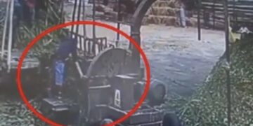VIDEO: Trabajador cae a trituradora de alimentos; amigos intentan salvarlo sin éxito