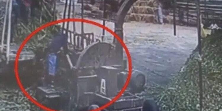 VIDEO: Trabajador cae a trituradora de alimentos; amigos intentan salvarlo sin éxito