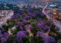 Lunes mayormente soleado en San Luis Potosí