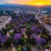 Lunes mayormente soleado en San Luis Potosí