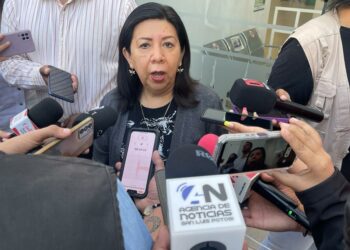 Manuela Cázares renuncia a la presidencia STJ