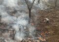 Más elementos y equipo aéreo se suman a combate de incendio forestal en Santa María